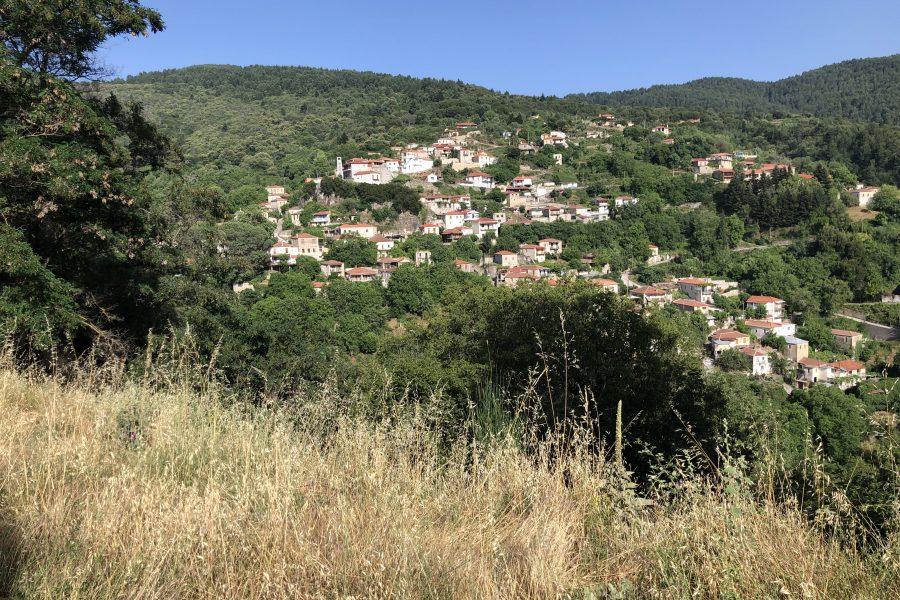 Greek hillside