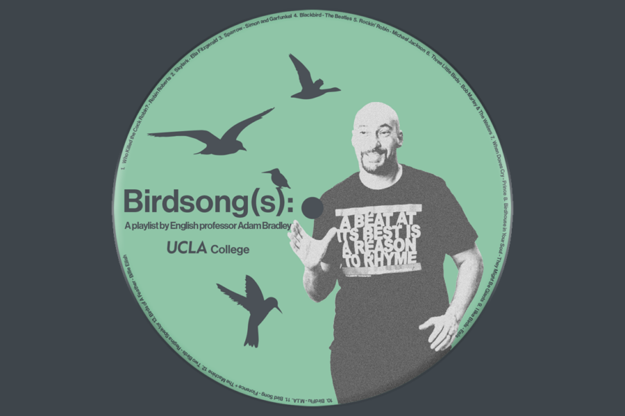 Mock compact disc with image of Professor Adam Bradley and bird silhouettes