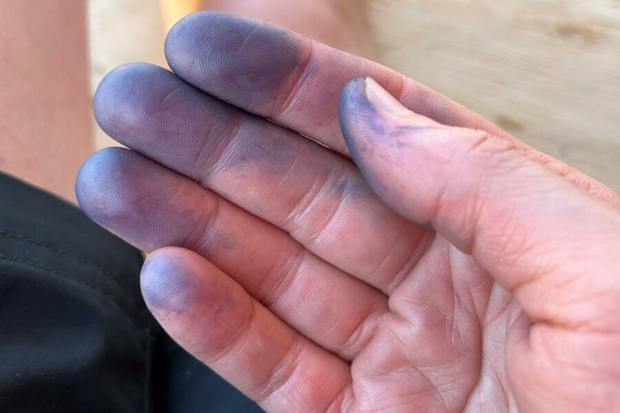 Hand with blue pigment on fingertips