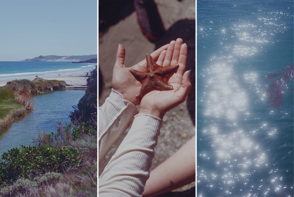 Three images from Santa Rosa Island - an inlet, hands holding a starfish and sparkling ocean water