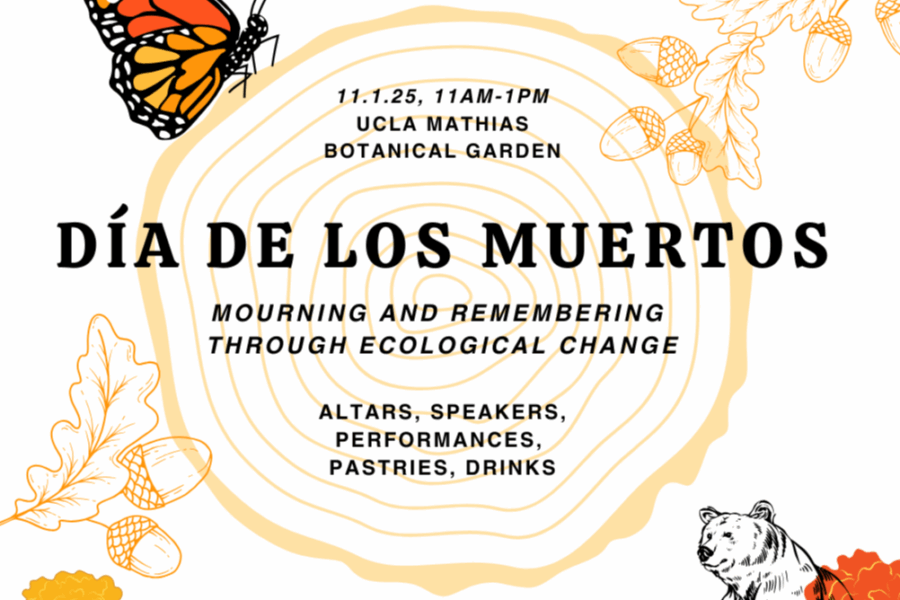 Dia de los Muertos event poster