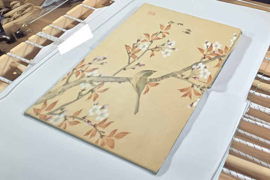 Book on scanner bed, with illustration of bird on flowering tree branch